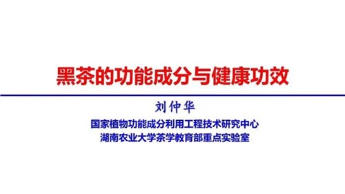 茶的功能成分與健康功效 | 茶、飲茶與健康