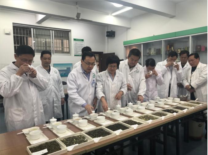 瀟湘茶業(yè)開展花茶審評和座談會，劉仲華院士等專家共謀花茶產(chǎn)業(yè)發(fā)展