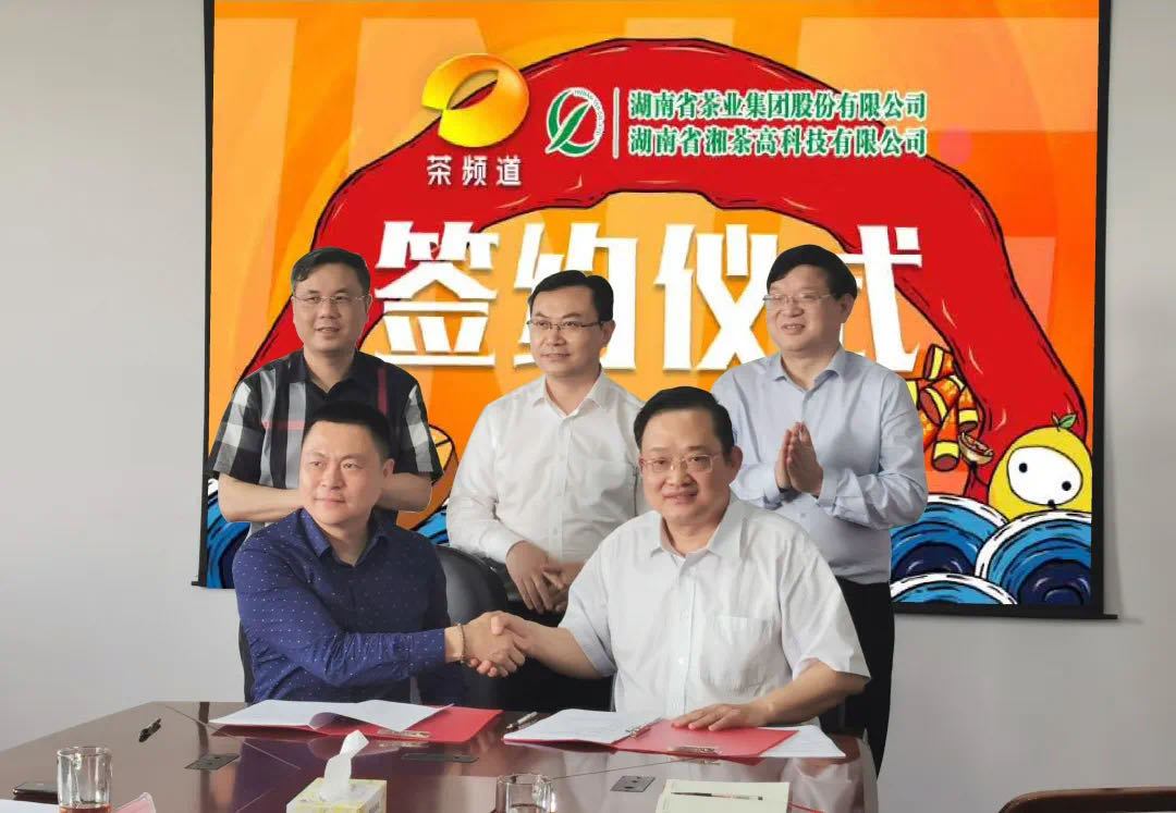院士見證，輕輕茶發(fā)力品牌建設(shè)，與茶頻道達成深度合作