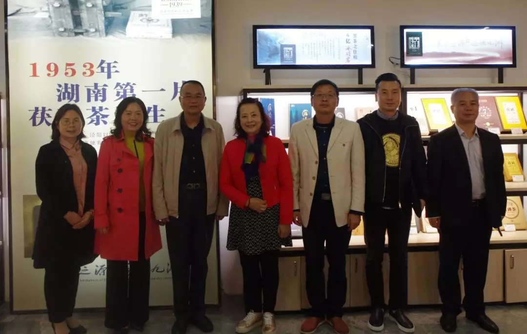 奧地利湖南人聯(lián)合總會領(lǐng)導探秘白沙溪