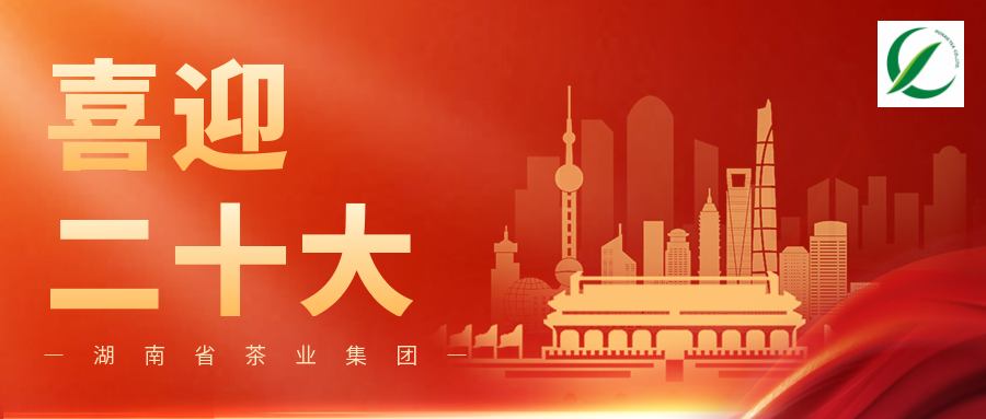 湖南省茶業(yè)集團(tuán)組織收看中國(guó)共產(chǎn)黨第二十次全國(guó)代表大會(huì)開幕會(huì)