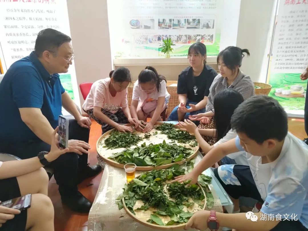 原載人民日?qǐng)?bào)“人民視點(diǎn)”茶葉是怎樣做出來(lái)的？湖南大、中、小學(xué)生體驗(yàn)湖南工夫紅茶制作